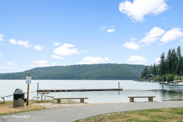 21714 S Lakeview Dr, Worley, ID 83876 - water view with a forest and a dock