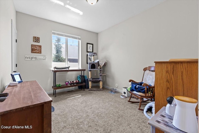 9238 N Gettys Ln, Hayden, ID 83835 - photo 22