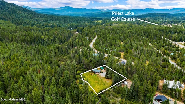 215 Gordon Dr, Priest Lake, ID 83856 - aerial view of property's location featuring a mountainous background and property parcel outlined