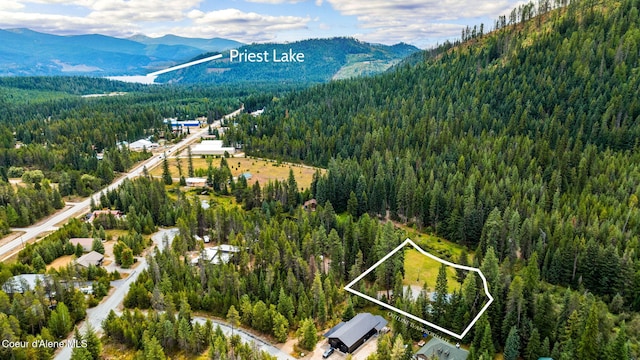 215 Gordon Dr, Priest Lake, ID 83856 - aerial overview of property's location featuring mountains and property boundaries highlighted