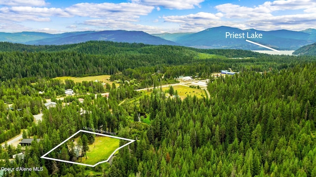 215 Gordon Dr, Priest Lake, ID 83856 - mountain view featuring a heavily wooded area