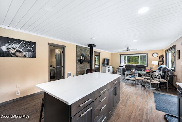 215 Gordon Dr, Priest Lake, ID 83856 - kitchen featuring a wood stove, open floor plan, light countertops, dark wood-type flooring, and ornamental molding