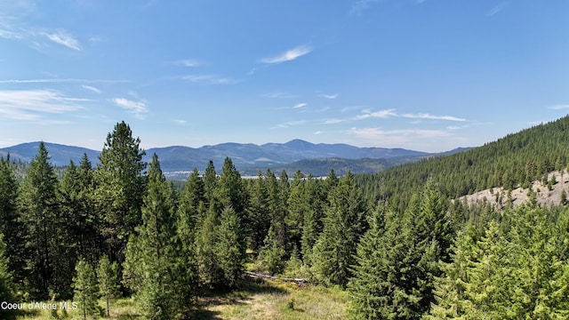 1710 Tower Mountain Rd, Blanchard, ID 83804