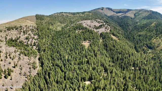 1710 Tower Mountain Rd, Blanchard, ID 83804