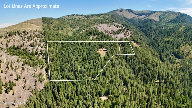 1710 Tower Mountain Rd, Blanchard, ID 83804
