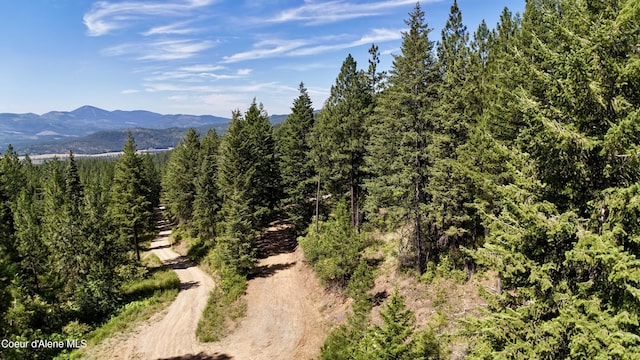 1710 Tower Mountain Rd, Blanchard, ID 83804