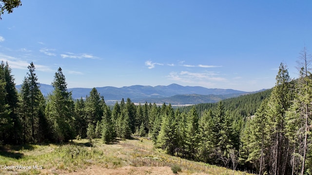 1710 Tower Mountain Rd, Blanchard, ID 83804