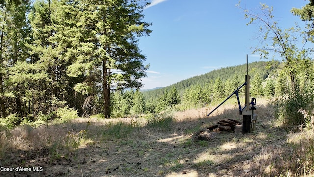 1710 Tower Mountain Rd, Blanchard, ID 83804