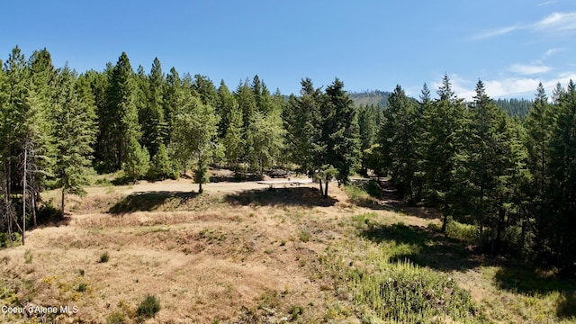 1710 Tower Mountain Rd, Blanchard, ID 83804