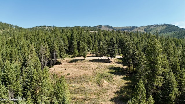1710 Tower Mountain Rd, Blanchard, ID 83804