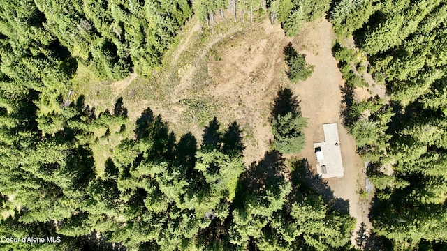 1710 Tower Mountain Rd, Blanchard, ID 83804