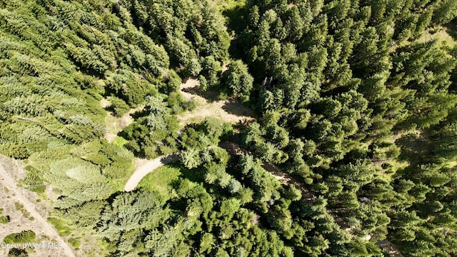 1710 Tower Mountain Rd, Blanchard, ID 83804