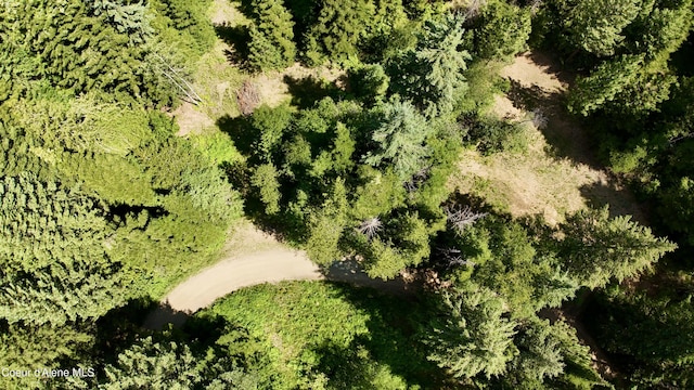 1710 Tower Mountain Rd, Blanchard, ID 83804