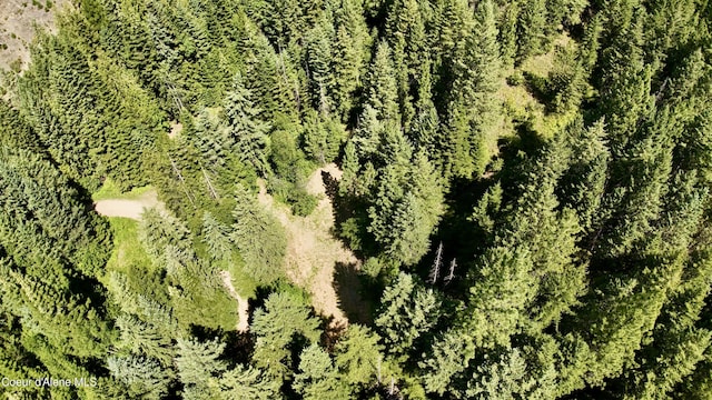 1710 Tower Mountain Rd, Blanchard, ID 83804