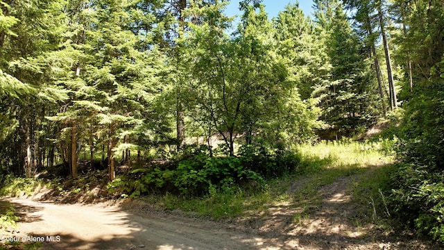 1710 Tower Mountain Rd, Blanchard, ID 83804
