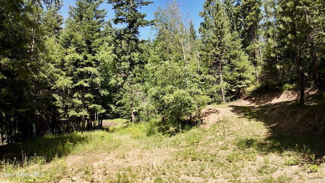 1710 Tower Mountain Rd, Blanchard, ID 83804