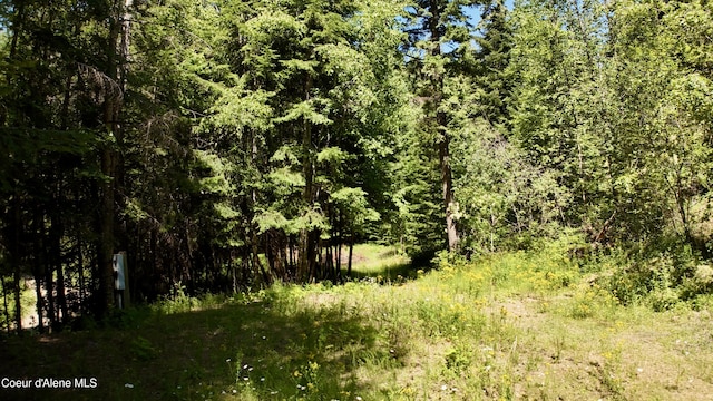 1710 Tower Mountain Rd, Blanchard, ID 83804