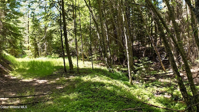 1710 Tower Mountain Rd, Blanchard, ID 83804
