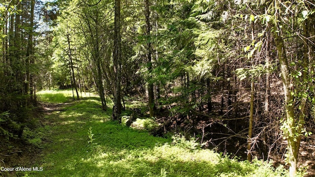 1710 Tower Mountain Rd, Blanchard, ID 83804