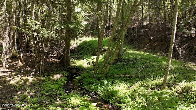 1710 Tower Mountain Rd, Blanchard, ID 83804