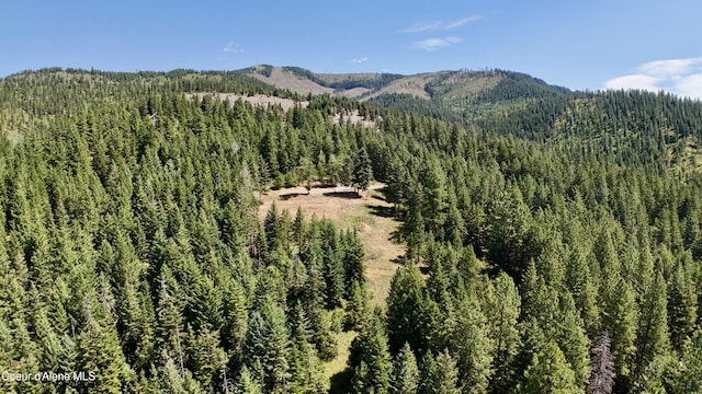 1710 Tower Mountain Rd, Blanchard, ID 83804