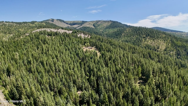 1710 Tower Mountain Rd, Blanchard, ID 83804