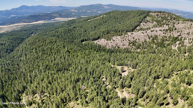 1710 Tower Mountain Rd, Blanchard, ID 83804