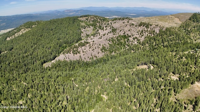 1710 Tower Mountain Rd, Blanchard, ID 83804