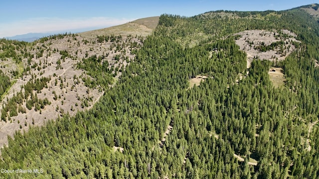1710 Tower Mountain Rd, Blanchard, ID 83804