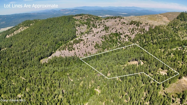 1710 Tower Mountain Rd, Blanchard, ID 83804