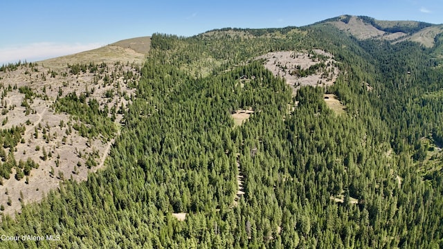 1710 Tower Mountain Rd, Blanchard, ID 83804
