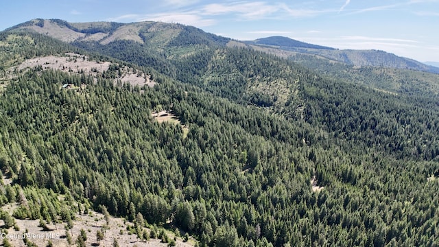 1710 Tower Mountain Rd, Blanchard, ID 83804