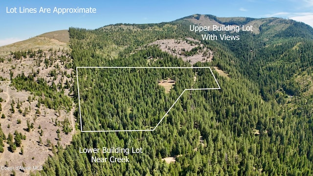 1710 Tower Mountain Rd, Blanchard, ID 83804