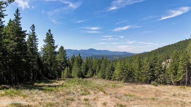 1710 Tower Mountain Rd, Blanchard, ID 83804