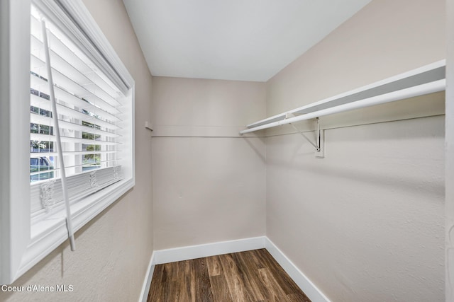 4204 N Jefferson St, Spokane, WA 99205 - walk in closet featuring dark wood-style floors