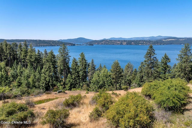 E Dewey Dr, Coeur Dalene, ID 83814 - photo 3