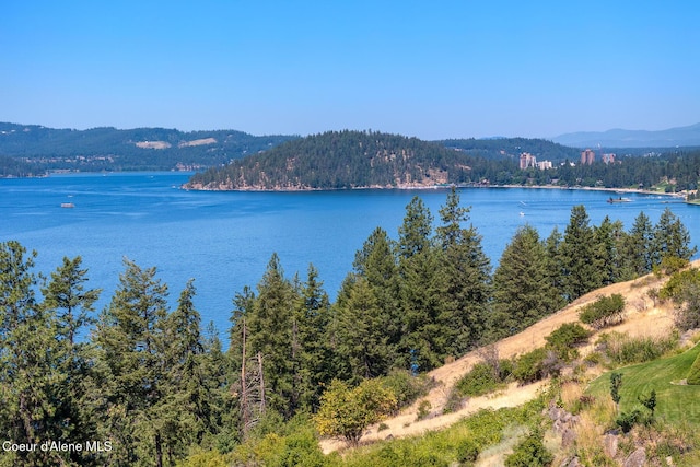 E Dewey Dr, Coeur Dalene, ID 83814 - photo 6