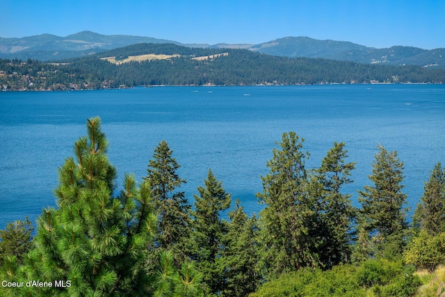 E Dewey Dr, Coeur Dalene, ID 83814 - photo 7