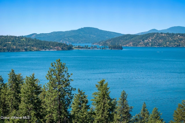 E Dewey Dr, Coeur Dalene, ID 83814 - photo 8