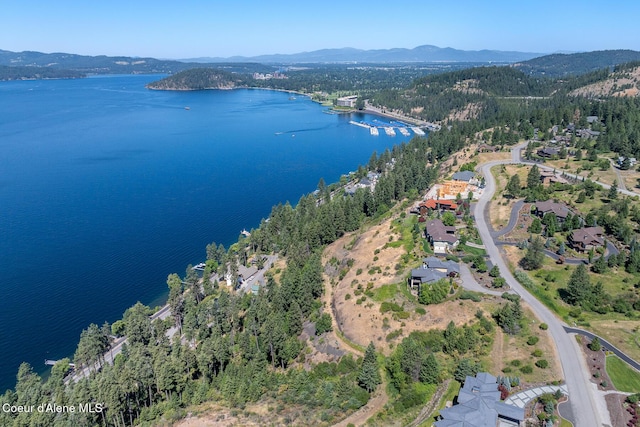 E Dewey Dr, Coeur Dalene, ID 83814 - photo 15