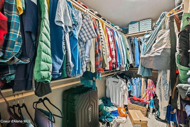 4483 N Connery Loop, Post Falls, ID 83854 - walk in closet with carpet floors