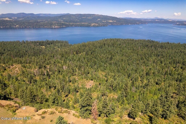 NKA Highway 97, Harrison, ID 83833