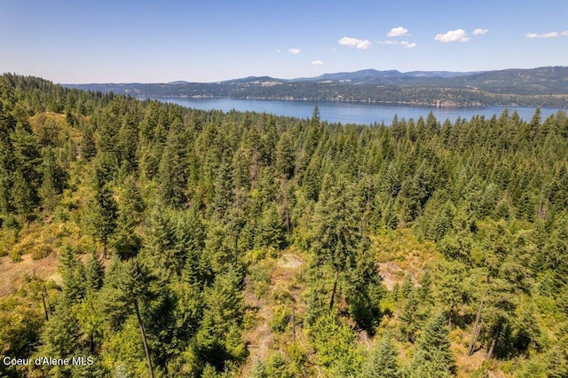 NKA Highway 97, Harrison, ID 83833