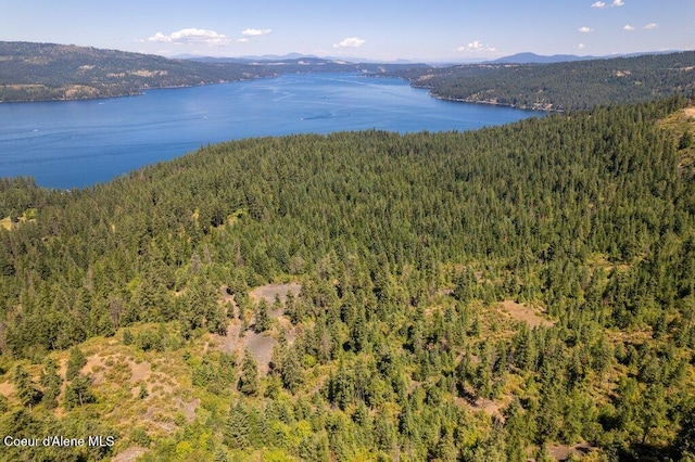 NKA Highway 97, Harrison, ID 83833