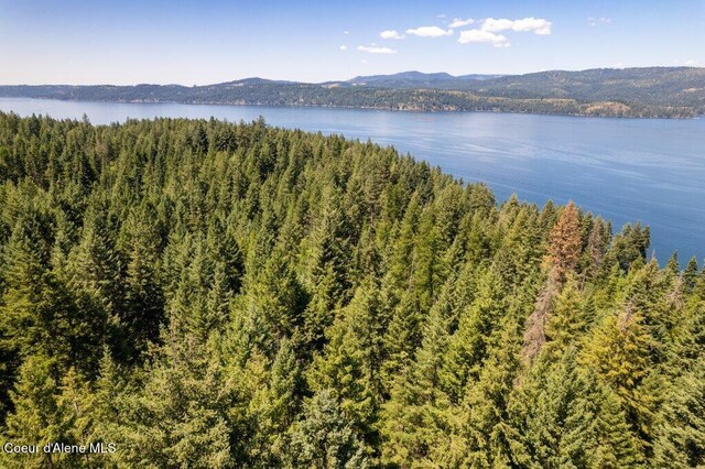NKA Highway 97, Harrison, ID 83833
