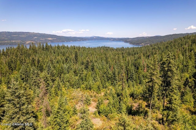 NKA Highway 97, Harrison, ID 83833