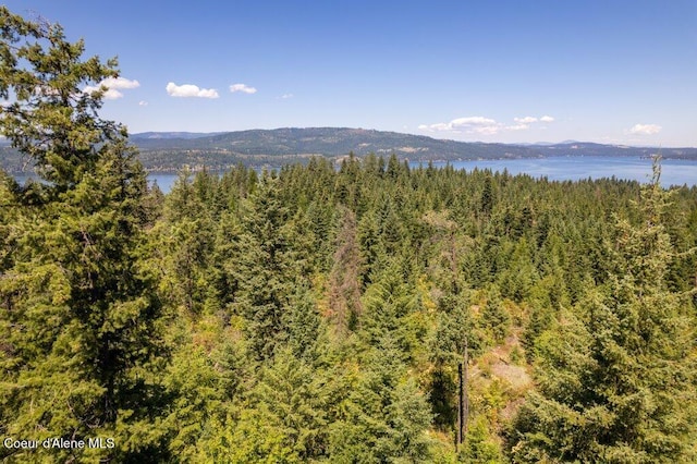 NKA Highway 97, Harrison, ID 83833