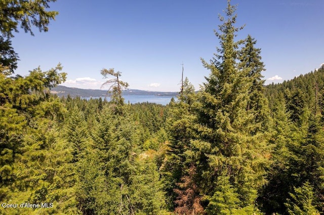 NKA Highway 97, Harrison, ID 83833