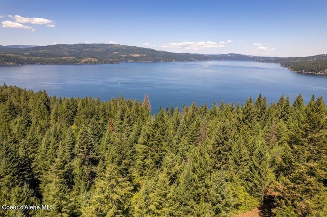 NKA Highway 97, Harrison, ID 83833