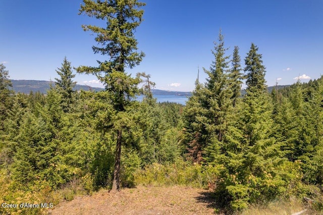 NKA Highway 97, Harrison, ID 83833